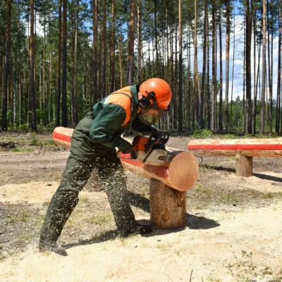 Раскряжевщик