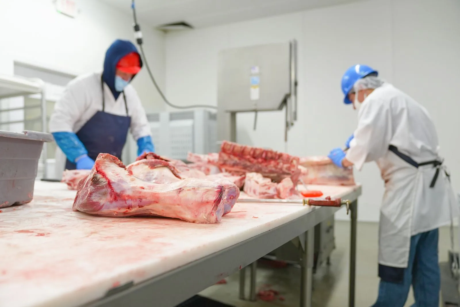 Технолог мясной промышленности: контроль производства и качества мясной продукции